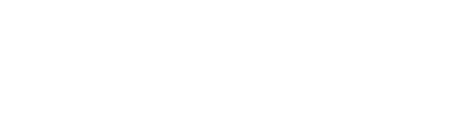 LEDHOLO